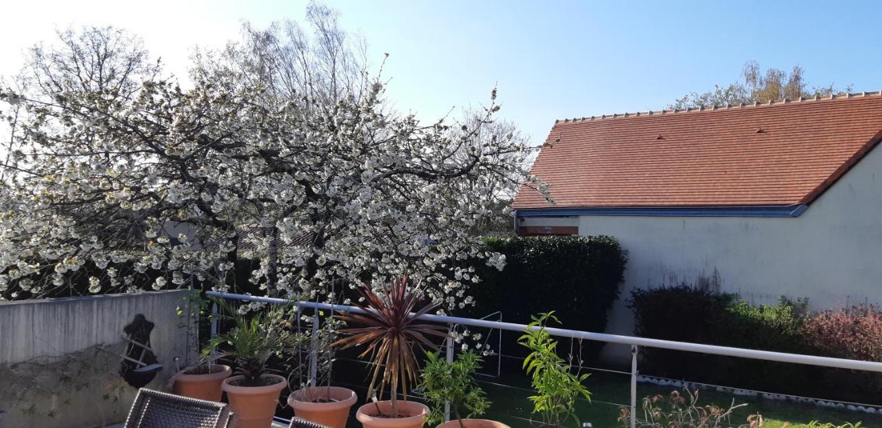 Chambre D'Hote - La Ruche Des Bleuets Mulsanne Exteriör bild